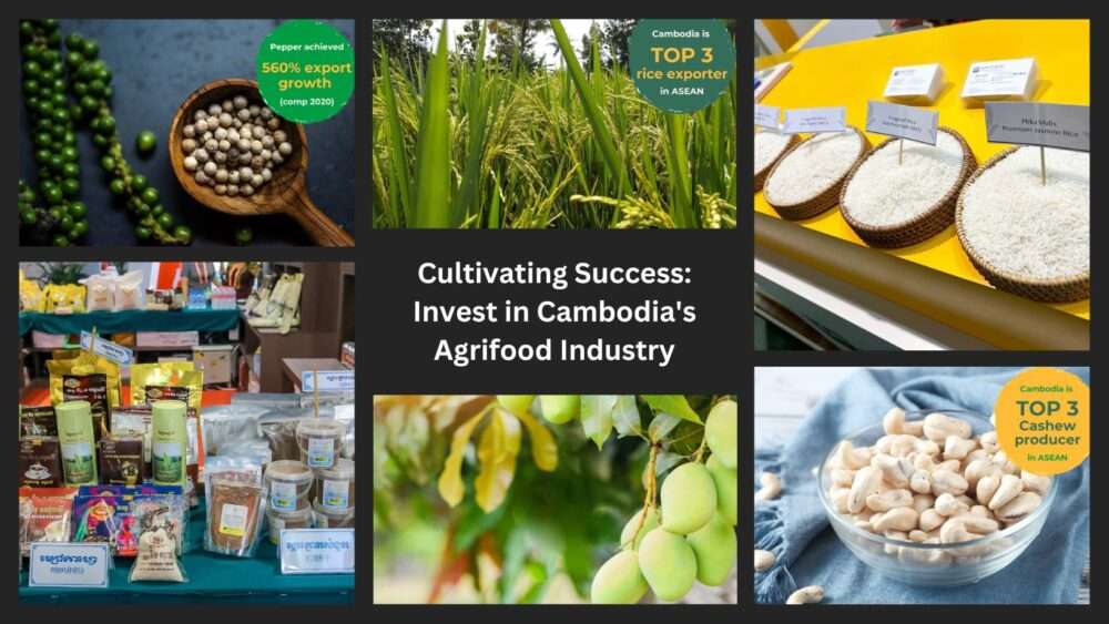 Cultivating Success: Invest in Cambodia’s Agrifood Industry